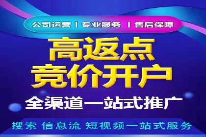 百度竞价广告投放数据分析